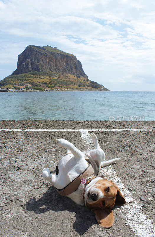 狗狗观光- Monemvasia